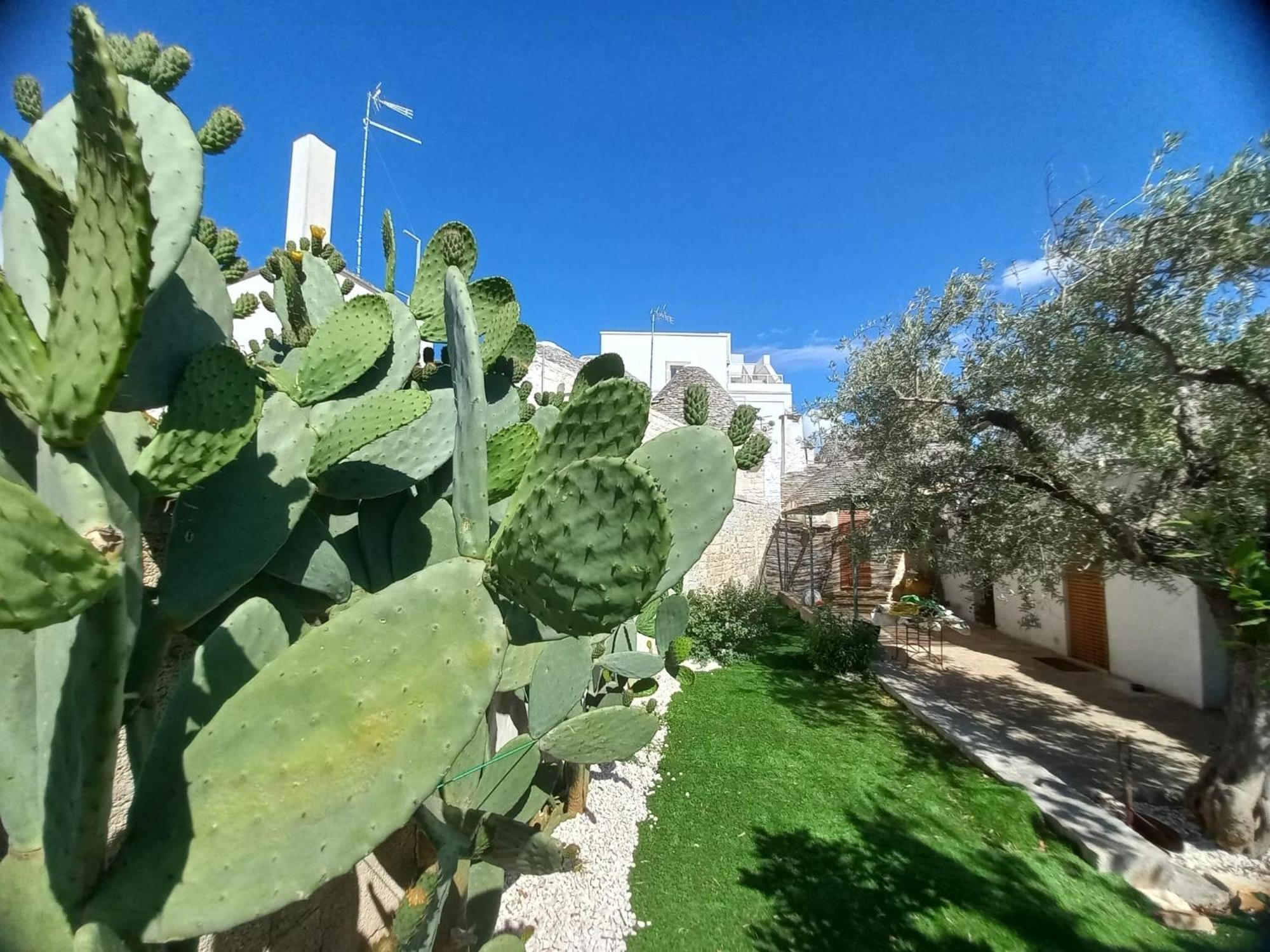 Trullo Vacanza Alberobello Rum bild